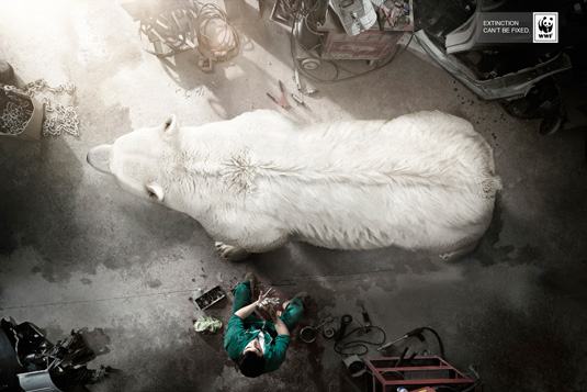 WWF-Irreplaceable-parts-of-a-Polar-Bear-ad