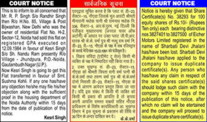 Court Notice Display Classified Ad