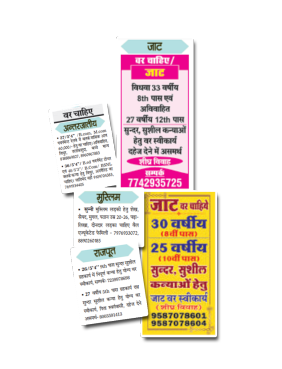 Hindustan Matrimonial Advertisement: Where Traditions Meet New Beginnings